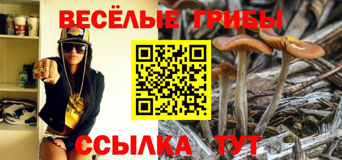 Галлюциногенные грибы ЛСД  Галлюциногенные грибы мицелий  Красный Сулин  Вход с VPN 