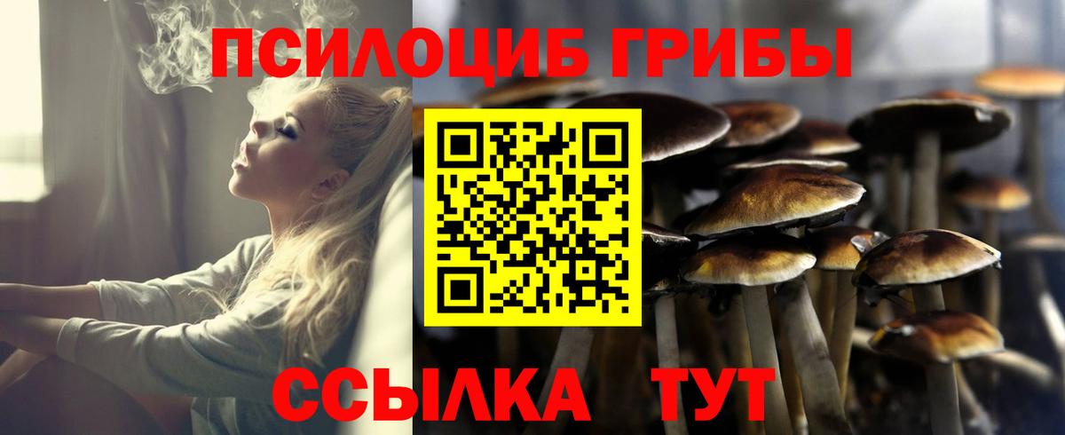 Псилоцибиновые грибы GOLDEN TEACHER Красный Сулин